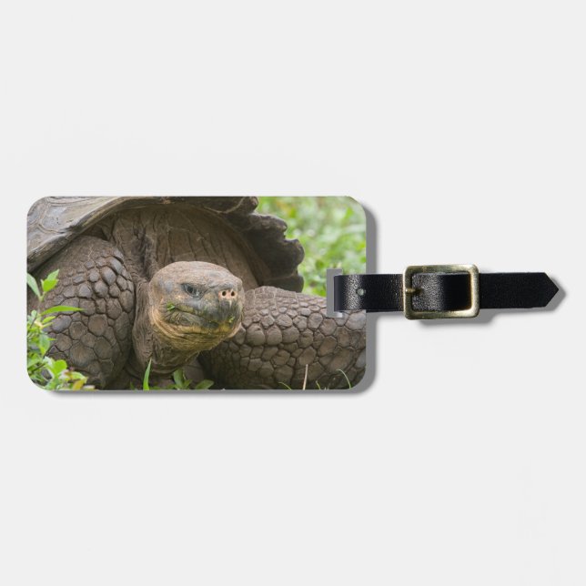 Étiquette À Bagage Tortue géante (Devant horizontal)
