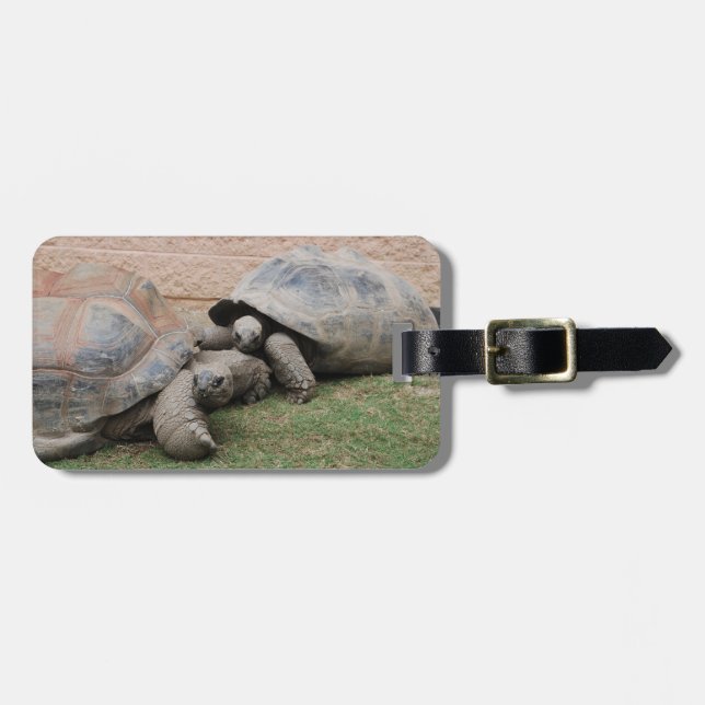 Étiquette À Bagage tortues géantes (Devant horizontal)