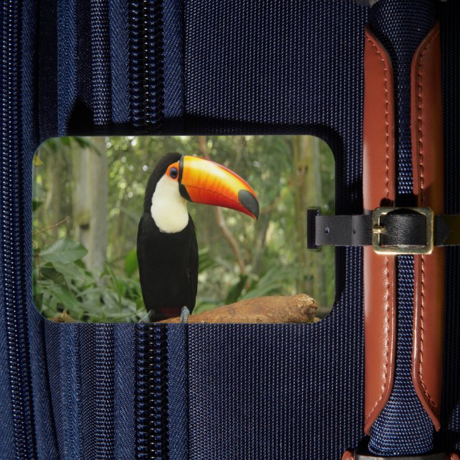 Étiquette À Bagage Toucan sur branche d'arbre (Insitu Rectoal 4)