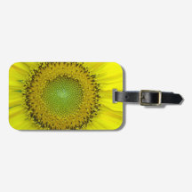 Tournesol jaune