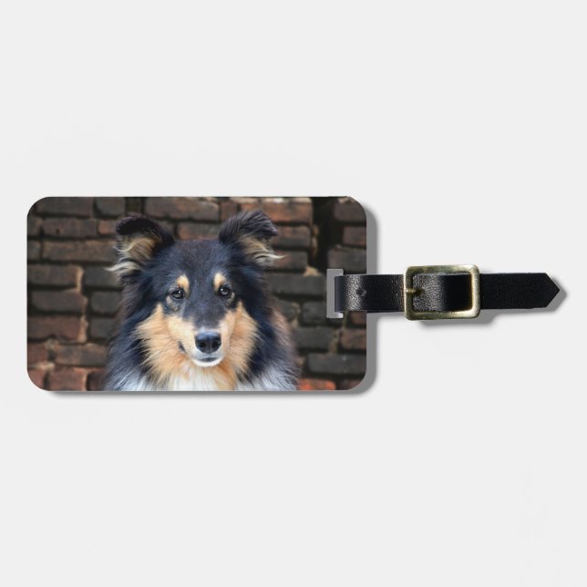Étiquette À Bagage Tricolor Sheltie face (Devant horizontal)