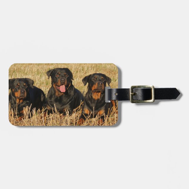 Étiquette À Bagage Trois chiens Rottweiler - Pack de Rotties (Devant horizontal)