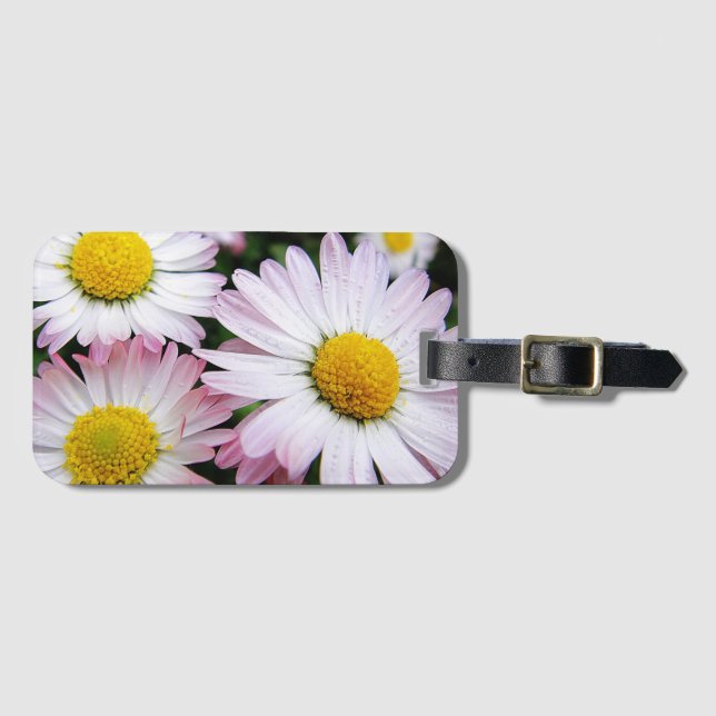 Étiquette À Bagage Trois marguerites rose et blanc (Devant Horizontal)