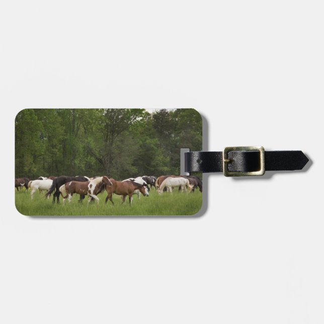 Étiquette À Bagage Troupeau de chevaux, Tennessee (Devant horizontal)