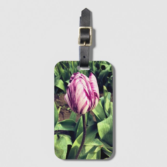 Étiquette À Bagage Tulipe à rayures violettes et blanches unique (Devant Vertical)