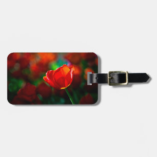 Étiquette À Bagage Tulipe rouge - Mystère de floraison