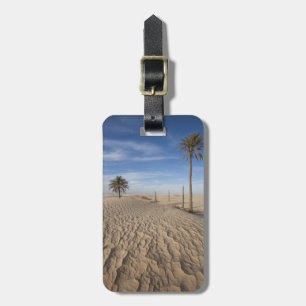 Étiquette À Bagage Tunisie, désert du Sahara, Douz, Grande Dune, aube