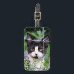 Étiquette À Bagage Tuxedo Kitten in the Garden<br><div class="desc">Close up of  Tuxedo Kitten named Xena in the Garden</div>