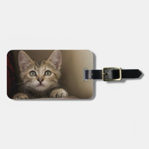 Étiquette À Bagage Un chaton tigré très doux
