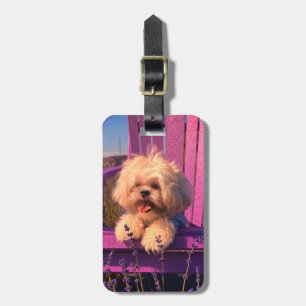 Étiquette À Bagage Un chiot Shih Tzu câlin sourit, chien sur une chai