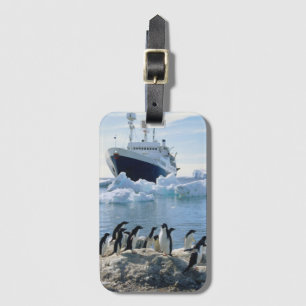 Étiquette À Bagage Un groupe de pingouins se tenant sur une plage