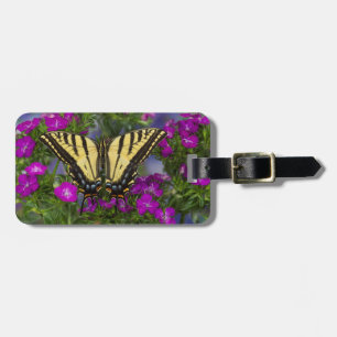 Étiquette À Bagage Un papillon amiral sur des fleurs rose foncé