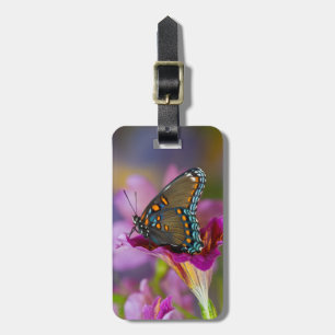 Étiquette À Bagage Un papillon machaon