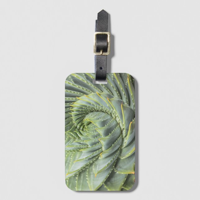 Étiquette À Bagage Un Succulent vert et blanc (Devant Vertical)