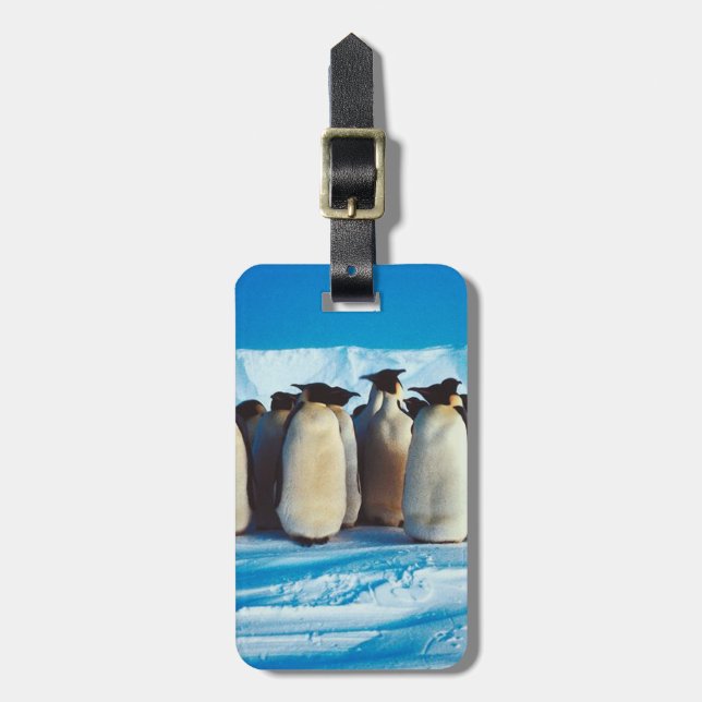 Étiquette À Bagage Une baraque de pingouins (Devant Vertical)