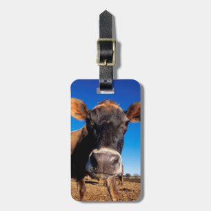 Étiquette À Bagage Une vache jersiaise curieuse