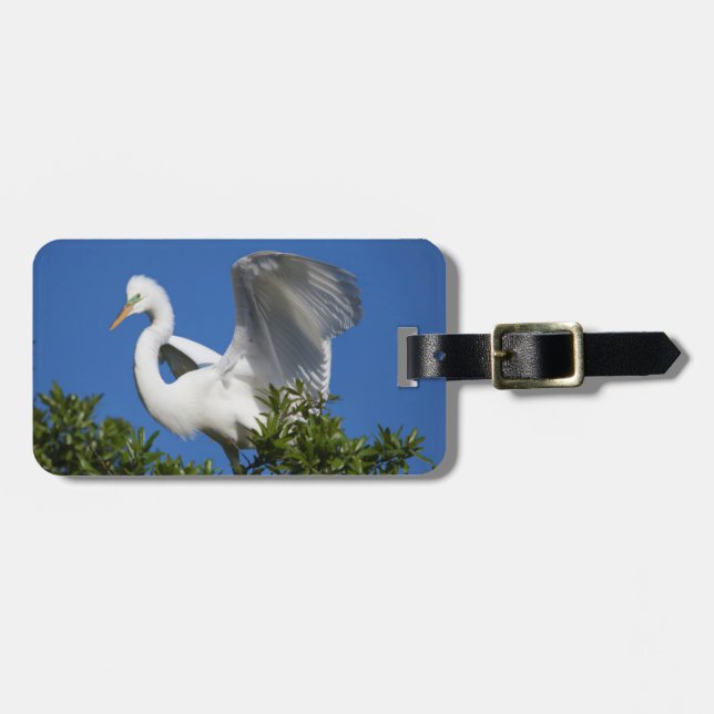 Étiquette À Bagage USA, Floride, St. Augustine, Aigrette (Devant horizontal)