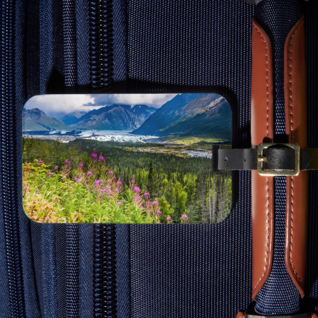 Étiquette À Bagage Vallée de Matanuska, centre-sud de l'Alaska (Insitu Rectoal 4)