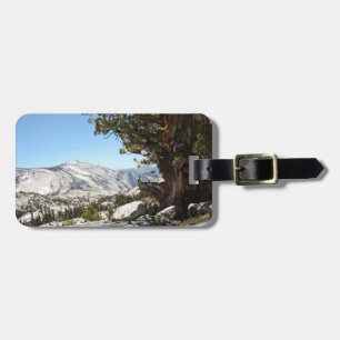Étiquette À Bagage Vieil arbre au parc national de Yosemite