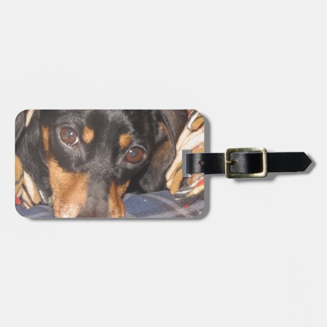 Étiquette À Bagage Visage de chien de Daschund Weener (Devant horizontal)