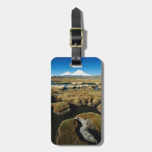 Étiquette À Bagage Volcans Payachalas
