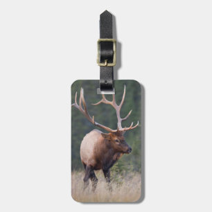 Étiquette À Bagage Wapiti des montagnes Rocheuses