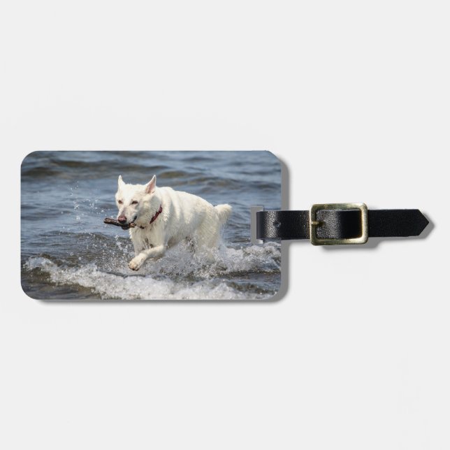 Étiquette À Bagage White German Shepard sur le lac George (Devant horizontal)