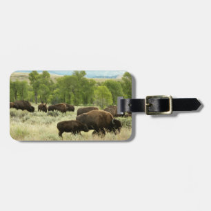 Étiquette À Bagage Wyoming Bison Nature Animal Photographie