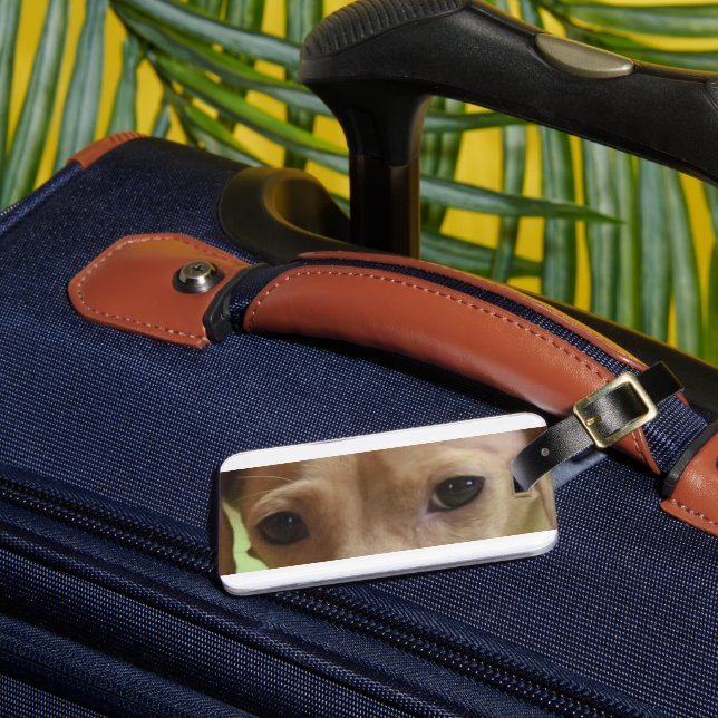 Étiquette À Bagage yeux crème dachshund (Insitu Rectoal 3)