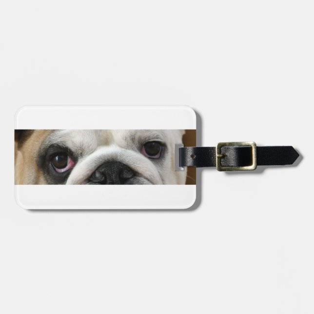 Étiquette À Bagage Yeux de Bouledogue (Devant horizontal)