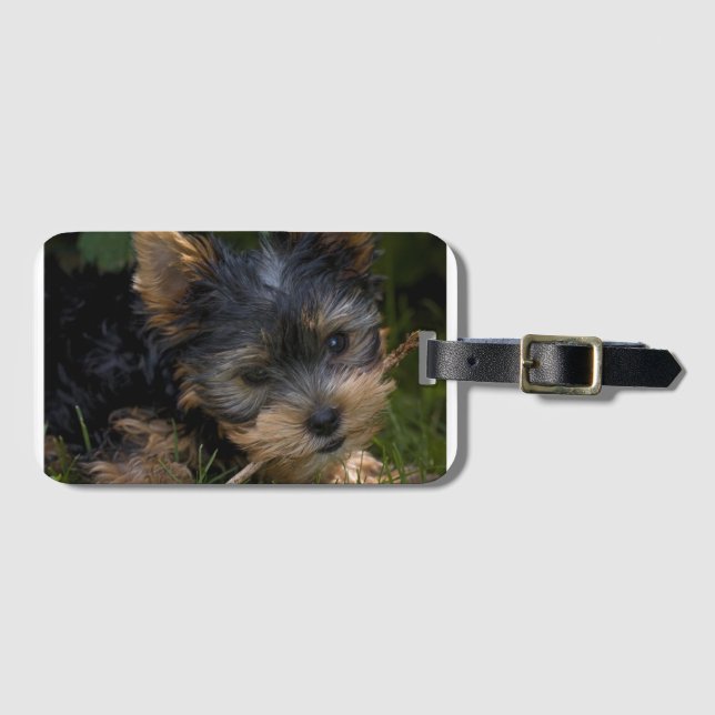 Étiquette À Bagage yorkie avec bâton (Devant Horizontal)