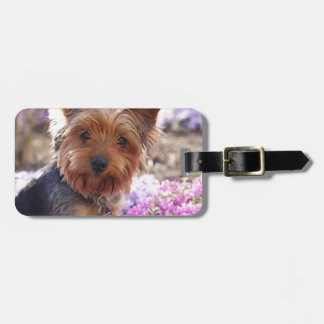 Étiquette À Bagage Yorkshire Terrier