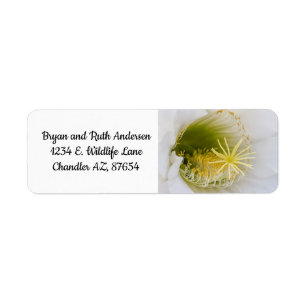 Étiquette À l'intérieur d'un cactus blanc en fleurs