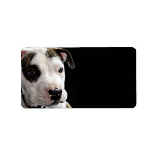 Étiquette À l'os de pitbull de chiot
