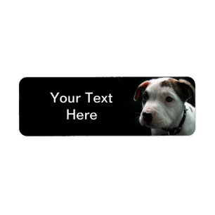 Étiquette À l'os de pitbull de chiot