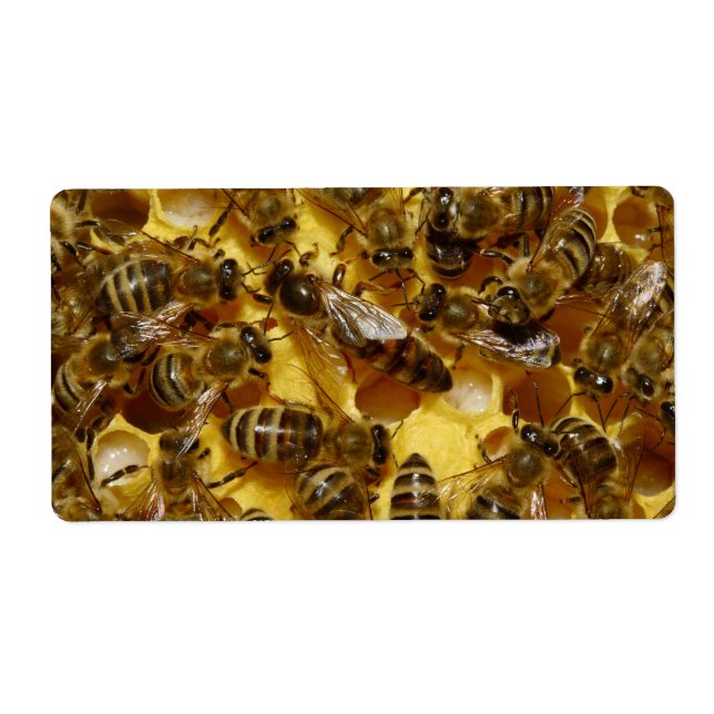 Étiquette Abeilles de miel en ruche avec reine en milieu (Devant)