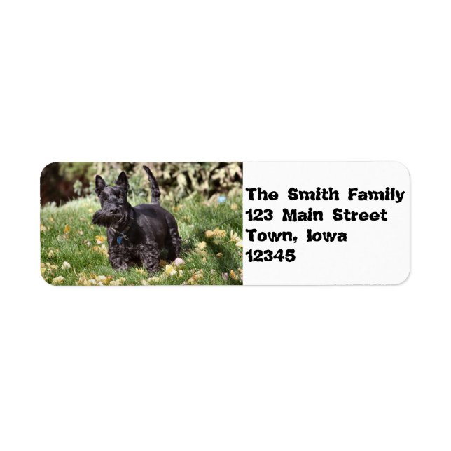 Étiquette Ach ! (Devant)