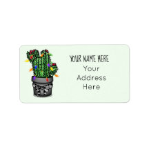 Adresse Cactus Holiday