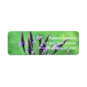 Étiquette Adresse de la fleur de vervain pourpre sauvage