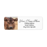 Adresse de retour Brown de veau adorable