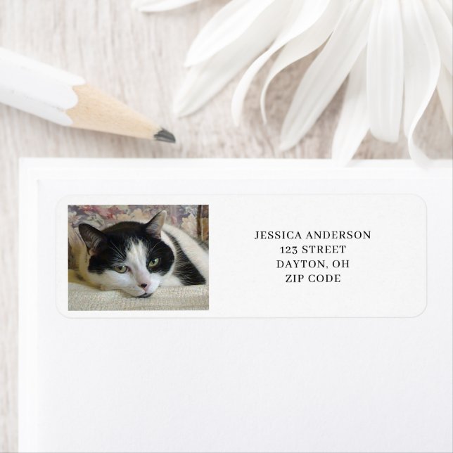Étiquette Adresse de retour de photos de chat simple (En situation)