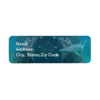 Étiquette Adresse de retour de requin