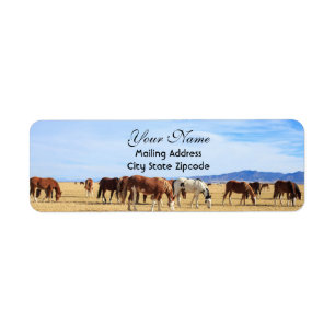 Étiquette Adresse de retour des chevaux Mustang