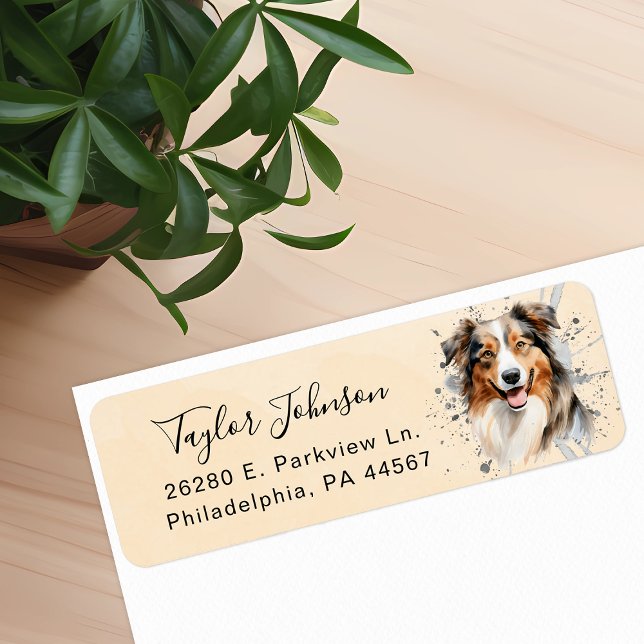 Étiquette Adresse de retour du chien berger australien (Créateur téléchargé)