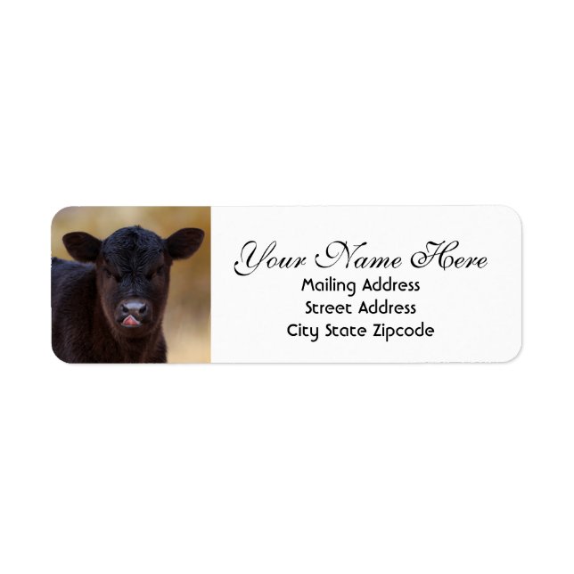 Étiquette Adresse de retour du veau Angus noir (Devant)