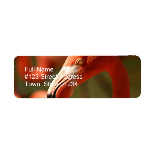 Étiquette Adresse de retour Flamant rose rose (Devant)