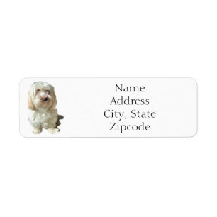 Étiquette Adresse de retour Label Havanese Dog