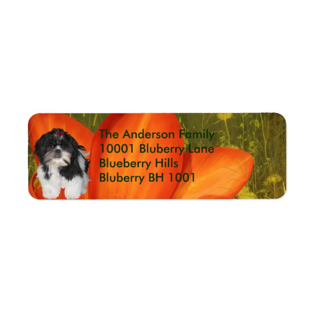Étiquette Adresse de Retour Shih Tzu & Fleurs (Devant)