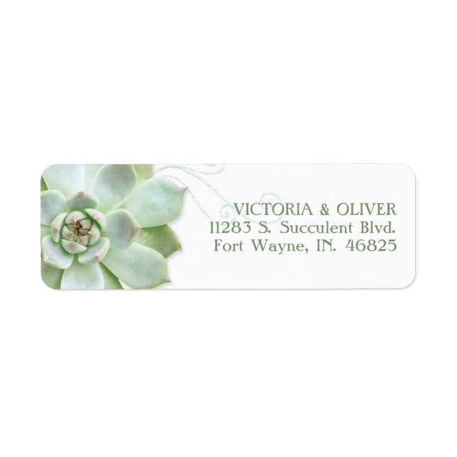 Étiquette Adresse Mariage de cactus simple et efficace (Devant)