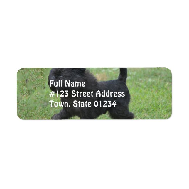 Étiquette Affenpinscher (Devant)